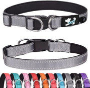 Collare per cani con imbottitura - Adattabile - Riflettente - Neoprene - Per cani piccoli/medi/grandi - Taglia M (31-50 cm) - Collare per cani