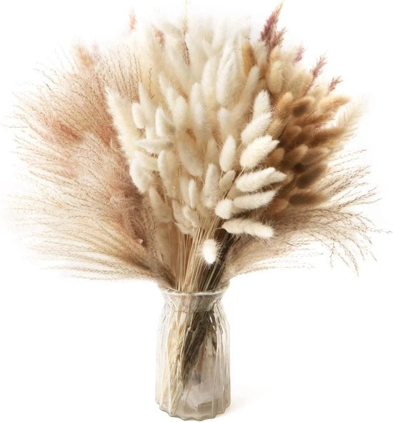 185 pezzi di pampas naturale essiccato, decorazione, alta piuma, fiori, canna, erba, coniglio, code essiccate, boho, composizione fiorita per tavola, matrimonio, salotto, camera da letto, artigianato.