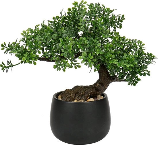 Pianta Bonsai da 25 cm - Vaso Ceramico - Decorazione Estetica Giapponese