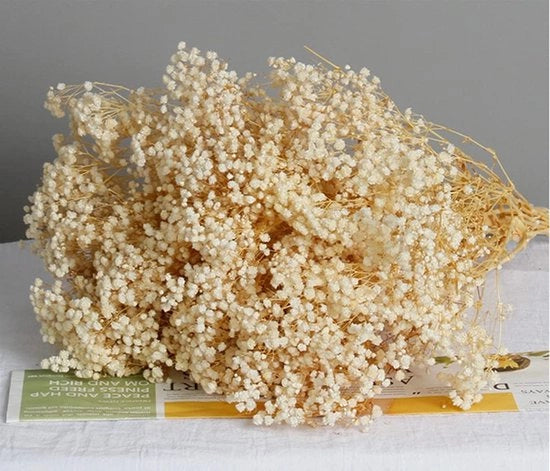 Boeket di Gypsophila 100% Naturale - Fiori Secchi - Decorazione Sostenibile per Vasi - Arredamento Casa - Feste e Matrimoni - Lunghezza 43,7 cm