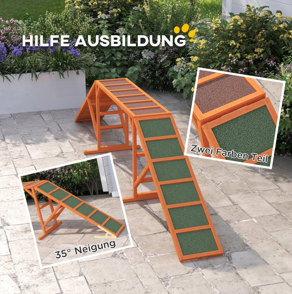 Rampa Agility per Cani con Superficie Antiscivolo