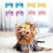 Strisce per Cani in Elastico - Design Corona - Adatte per Piccoli Cani - Comode - Poliestere di Alta Qualità - Uso Festivo - Strisce per Cani