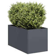Fioriera-Vaso-Contenitore per Piante Antracite 40x80x40 cm in Acciaio Laminato a Freddo