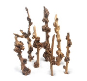 DecorLine Savana Wood Foto Indicativa - Legni decorativi naturali per acquari d' acqua dolce Modello: M (30-40cm)