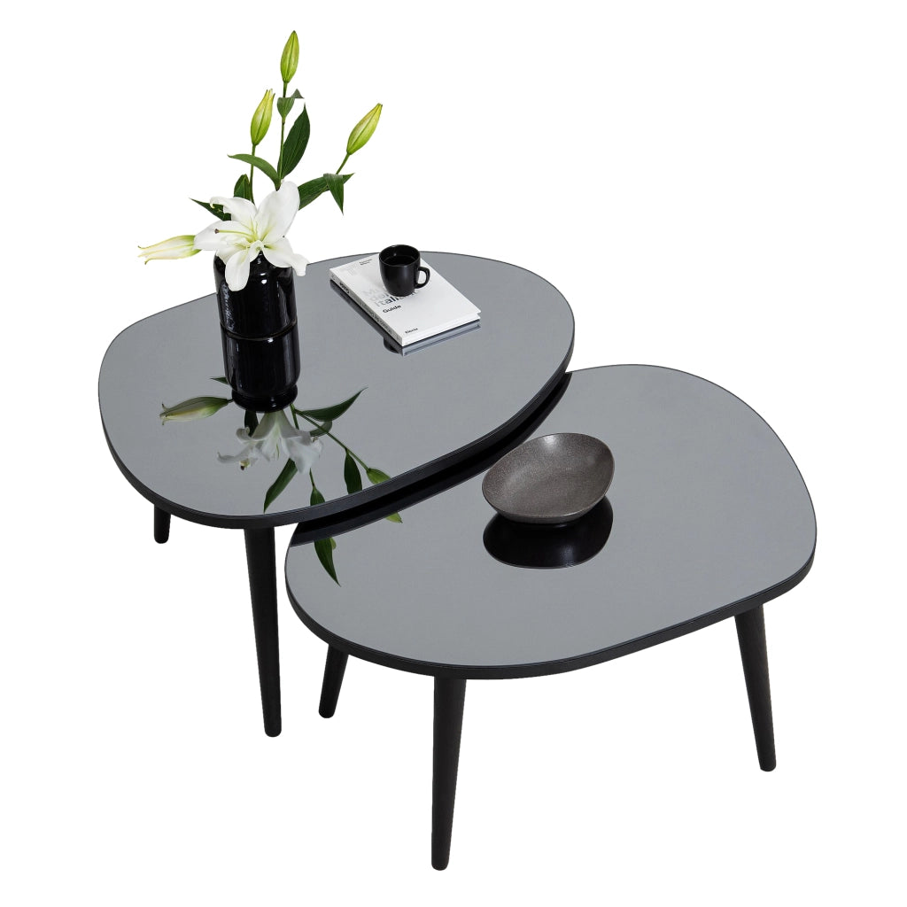 Cassiano, Tavolino da Salotto Piano in Vetro Temperato, 75x55x38h cm Nero