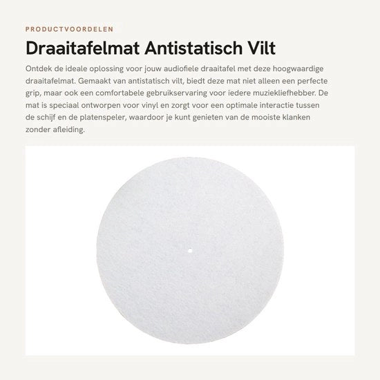 Matrice antistatica per dischi - 2 mm Velt - Matrice anti vibrazione - Materiale vinile - Idonea per giradischi - Diametro 295 mm