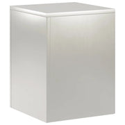 Supporto per piante Argento 30 x 30 x 40 cm Acciaio 8012468
