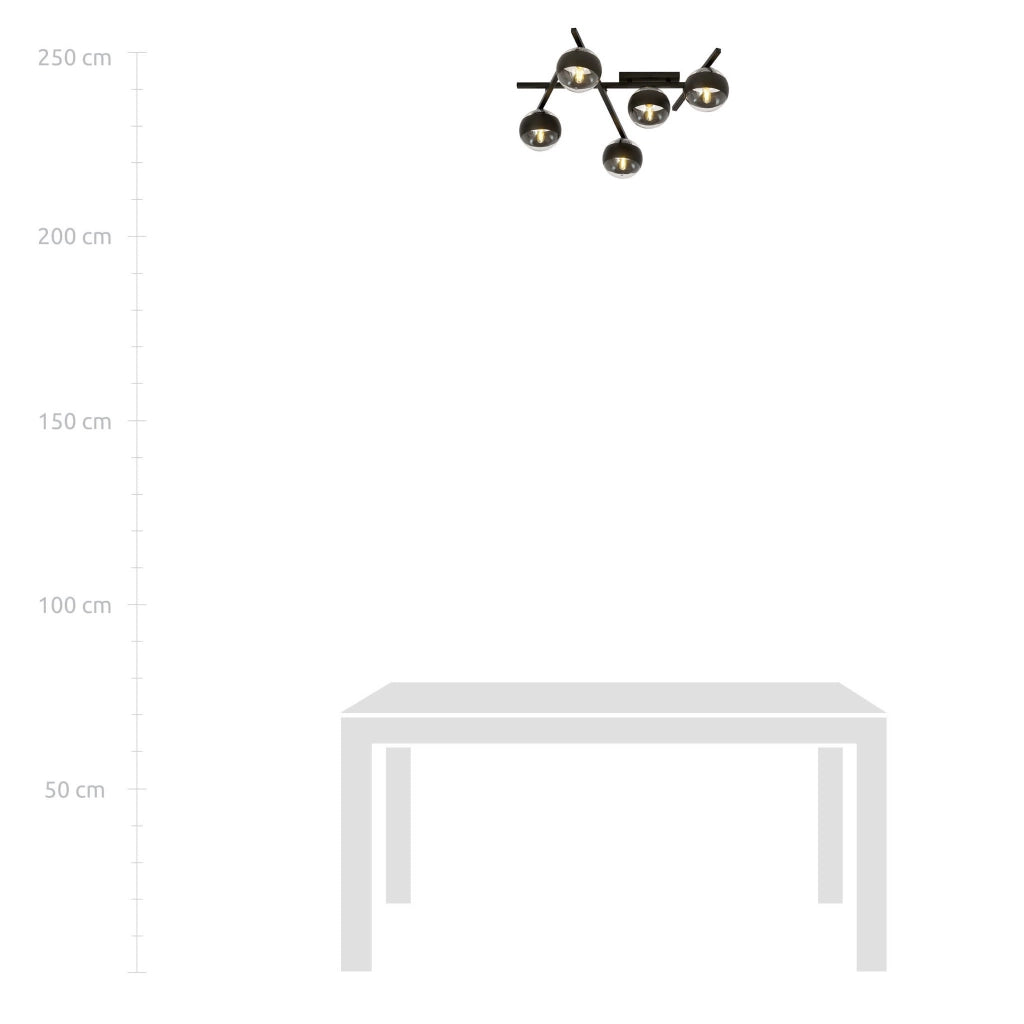 Lampadario Emibig SMART 5 luci E14 nero/trasparente