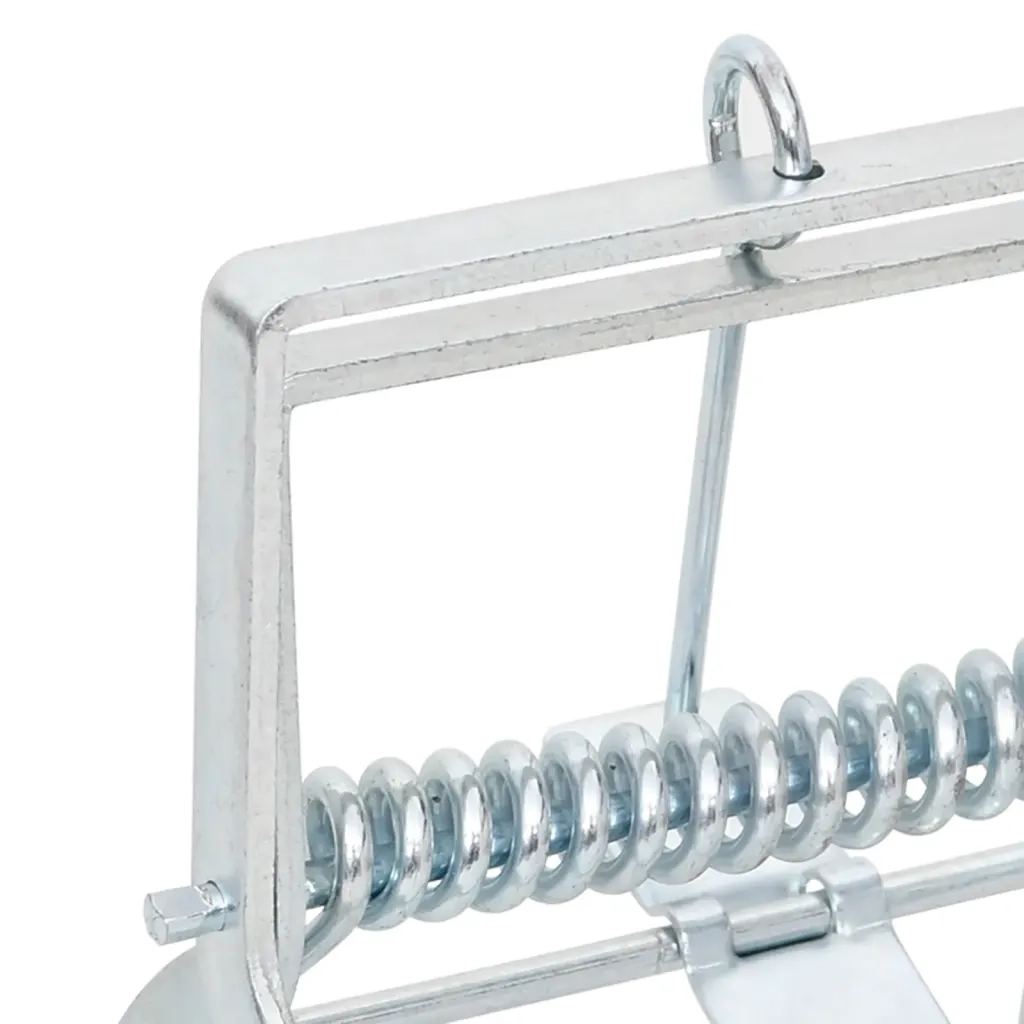 Trappole per Talpe 4 pz Argento Acciaio Zincato