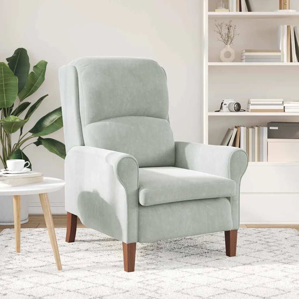 Poltrona-Divano Sedia-Poltroncina Grigio chiaro Velluto 266295