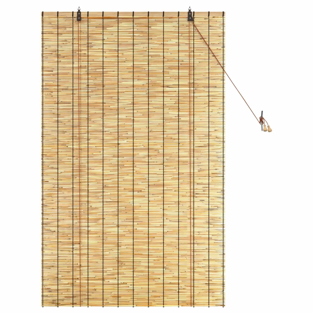 Tenda a rullo Naturale 100 x 160 cm Giunco 42034645