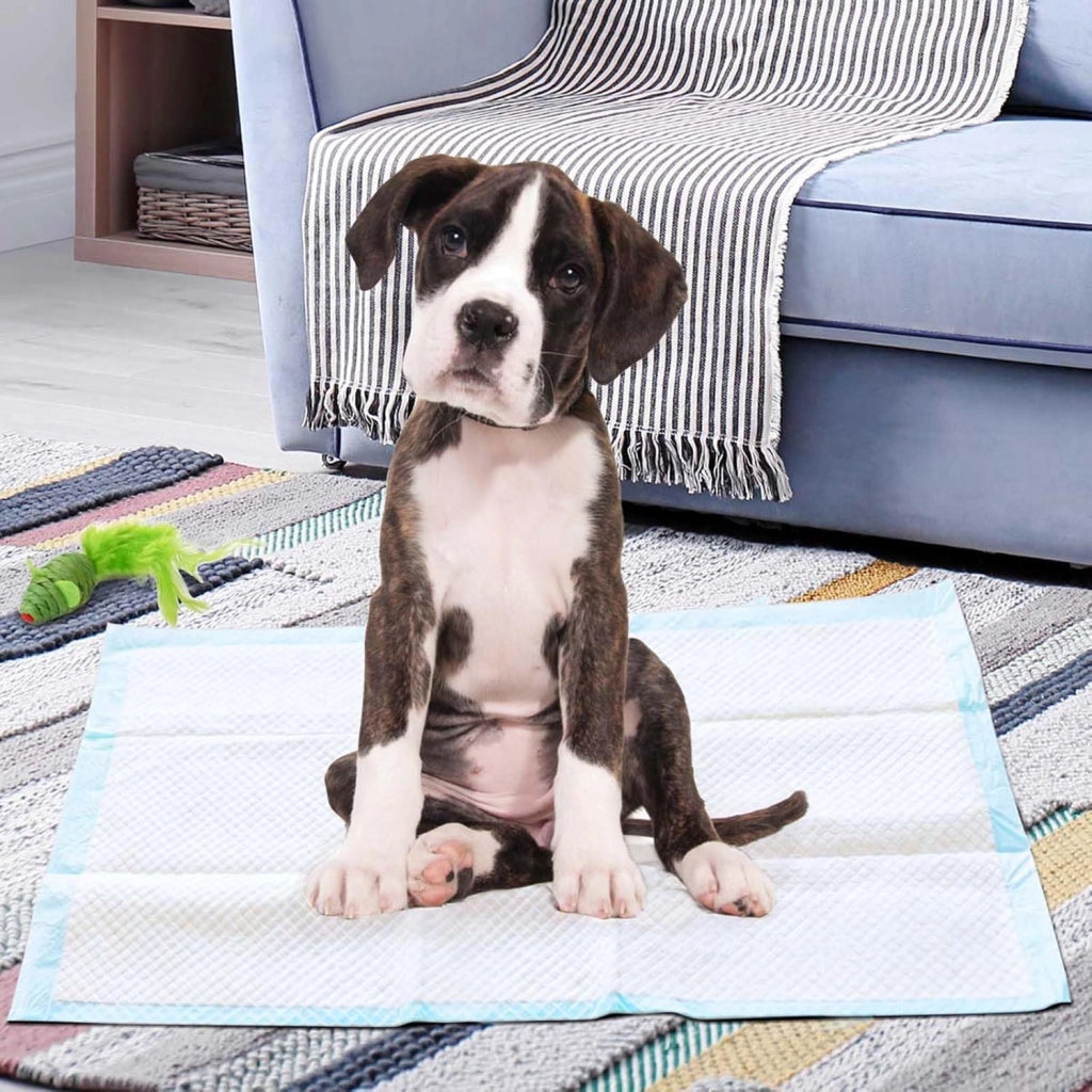 Tappetini Igienici Grandi per Animali, Traverse Animali a 5 Strati, Assorbe Bene Senza Perdite (60 x 90 cm 150 Pezzi)