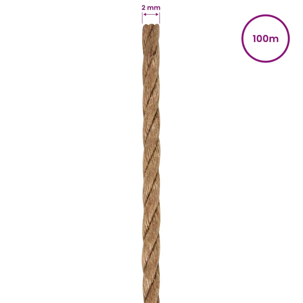 Spago in juta 2 pz 2 mm 100 m Naturale 100% juta Tossa 42011595