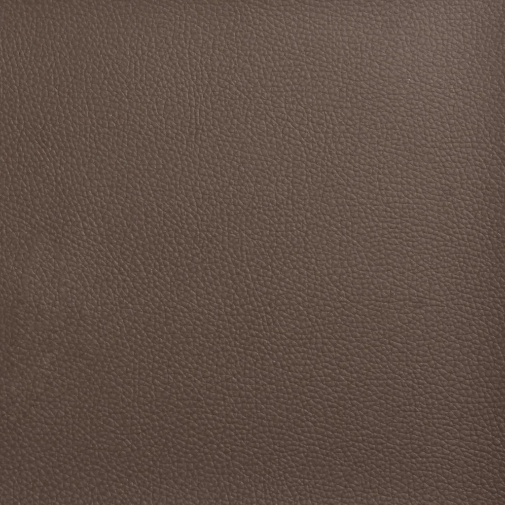Orecchia della Testata Tanno 80 x 23 x 6 cm PVC CFW2548469