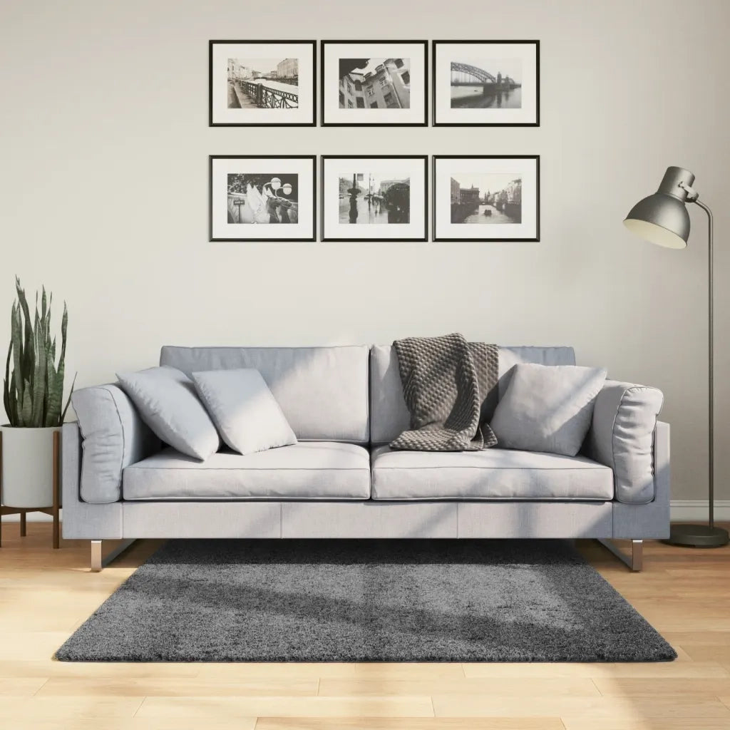 Tappeto del soggiorno | Tappeto OVIEDO a Pelo Corto Antracite 120x120 cm