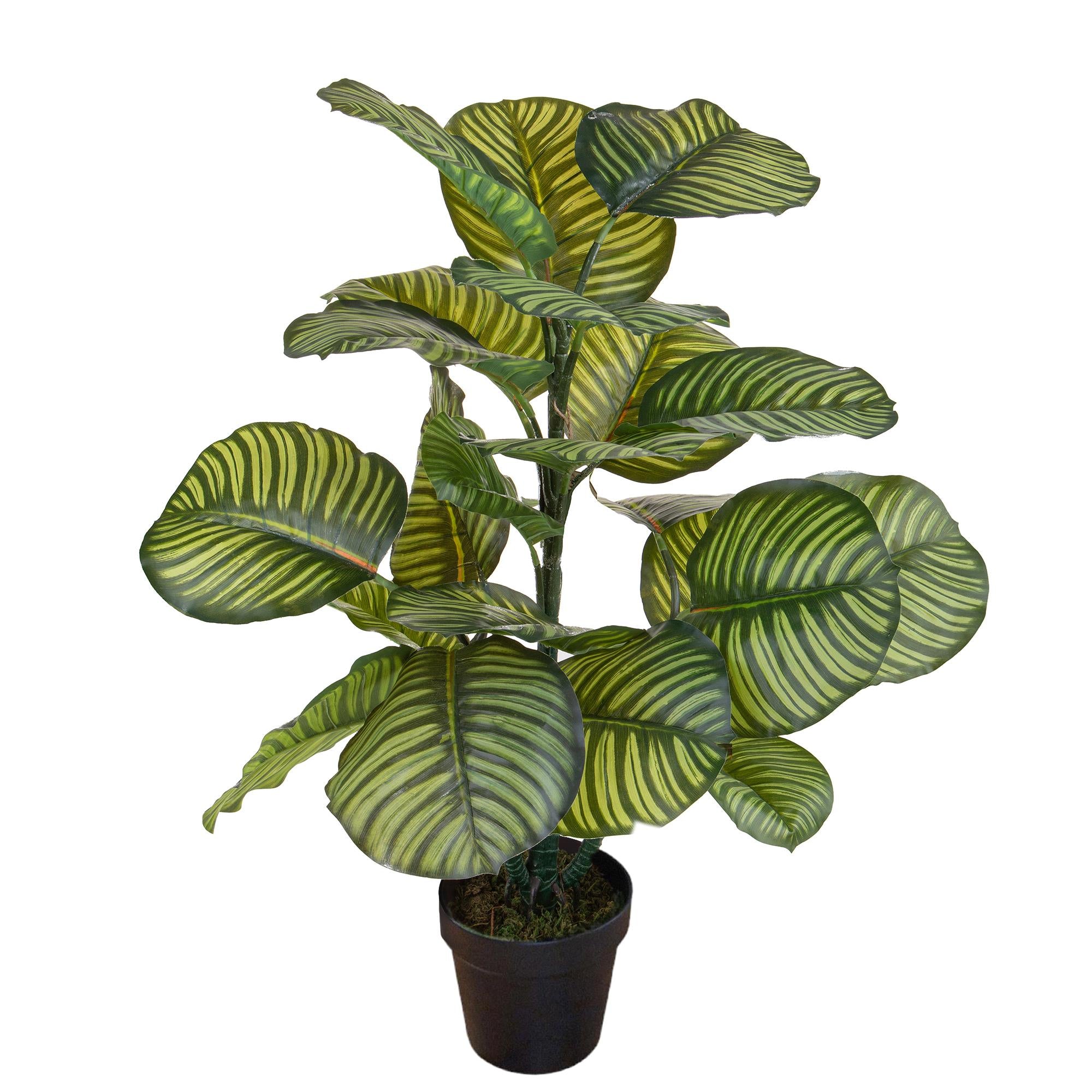 Pianta Artificiale Calathea in Vaso con 22 Foglie H 85 cm