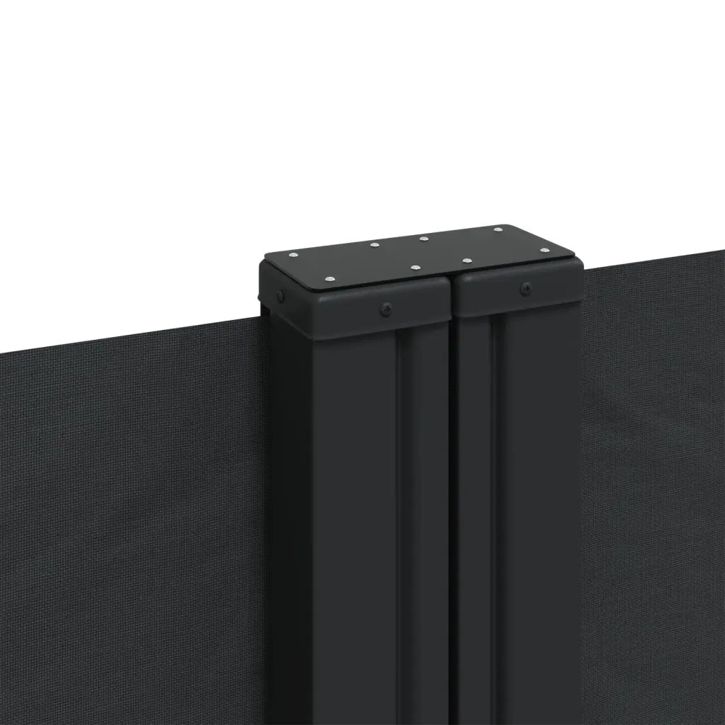 Tenda da Sole Laterale Retrattile Nera 220x1000 cm 4004774