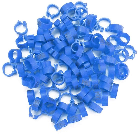 Etichetta PVC trasparente ronda - 100 pezzi - Etichetta identificativa per pollame - Film protettivo - Etichetta riutilizzabile