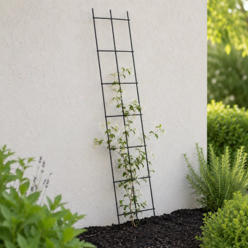 Traliccio da giardino in metallo KADAX per piante, fiori, scala per rampicanti, 35x120 cm, robusto
