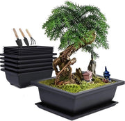 Bowl bonsai con piatto di supporto - contenitori per piante in plastica - contenitori per fiori rettangolari - set di attrezzi per giardino miniatura - 6 pezzi con scatole - 16 x 12 x 6 cm