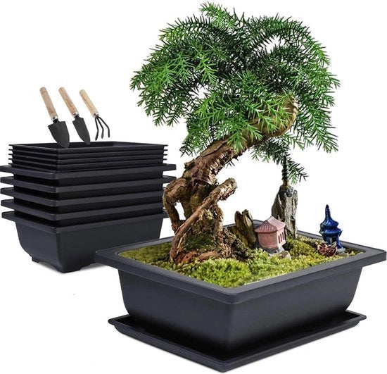 Bowl bonsai con piatto di supporto - contenitori per piante in plastica - contenitori per fiori rettangolari - set di attrezzi per giardino miniatura - 6 pezzi con scatole - 16 x 12 x 6 cm