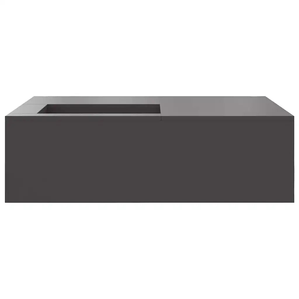 Focolare Nero 100 x 100 x 30 cm Acciaio CFW5935091