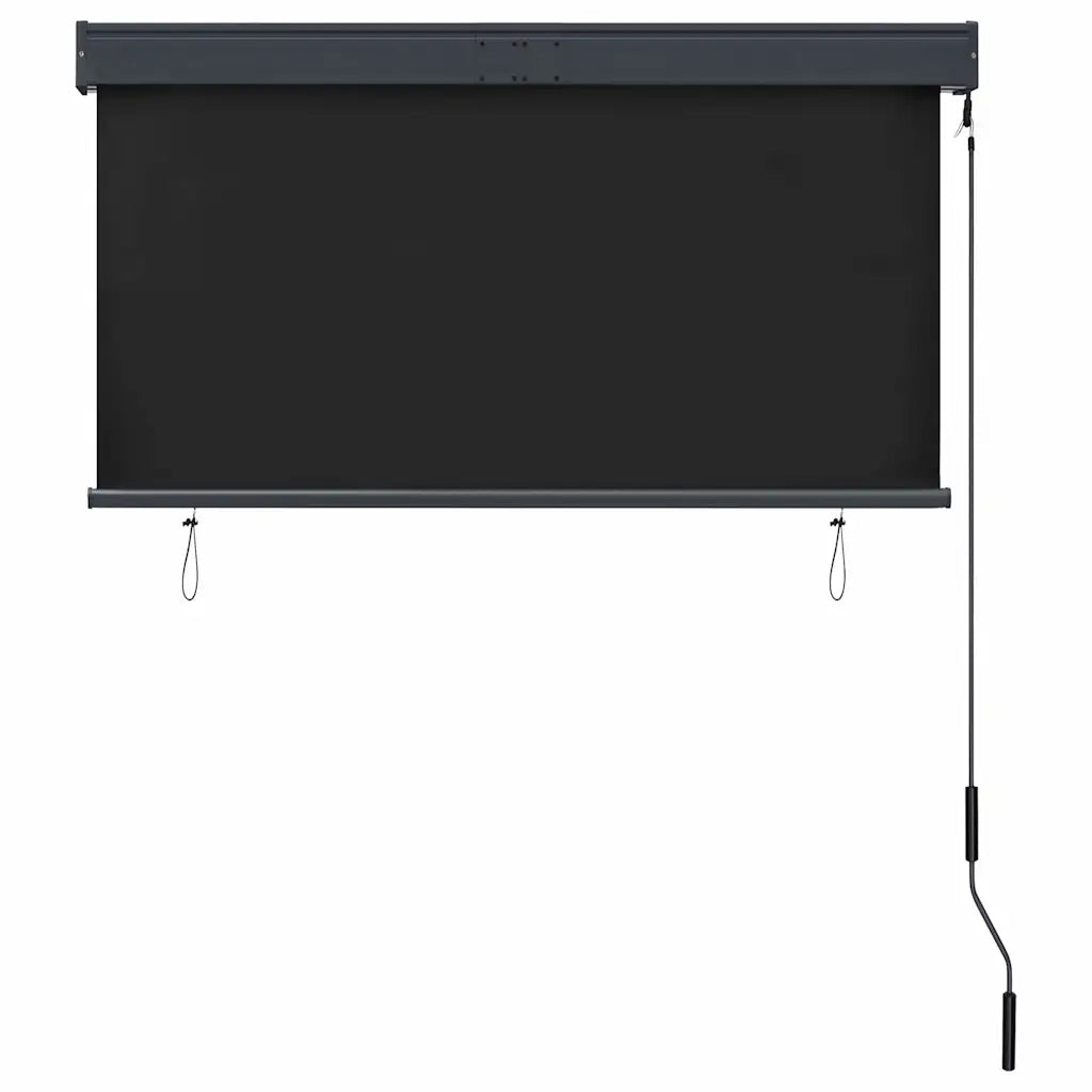 Tenda a Rullo per Esterni 120x250 cm Antracite cod mxl 68310