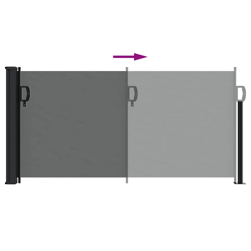 Tenda da Sole Laterale Retrattile-Tenda parasole per balcone antracite 100x300 cm