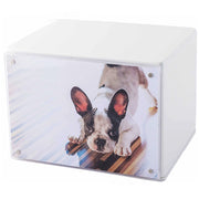 Urna Cineraria in Legno Laccato con Cornice Magnetica per Animali 15x12x10cm GMF Bianco