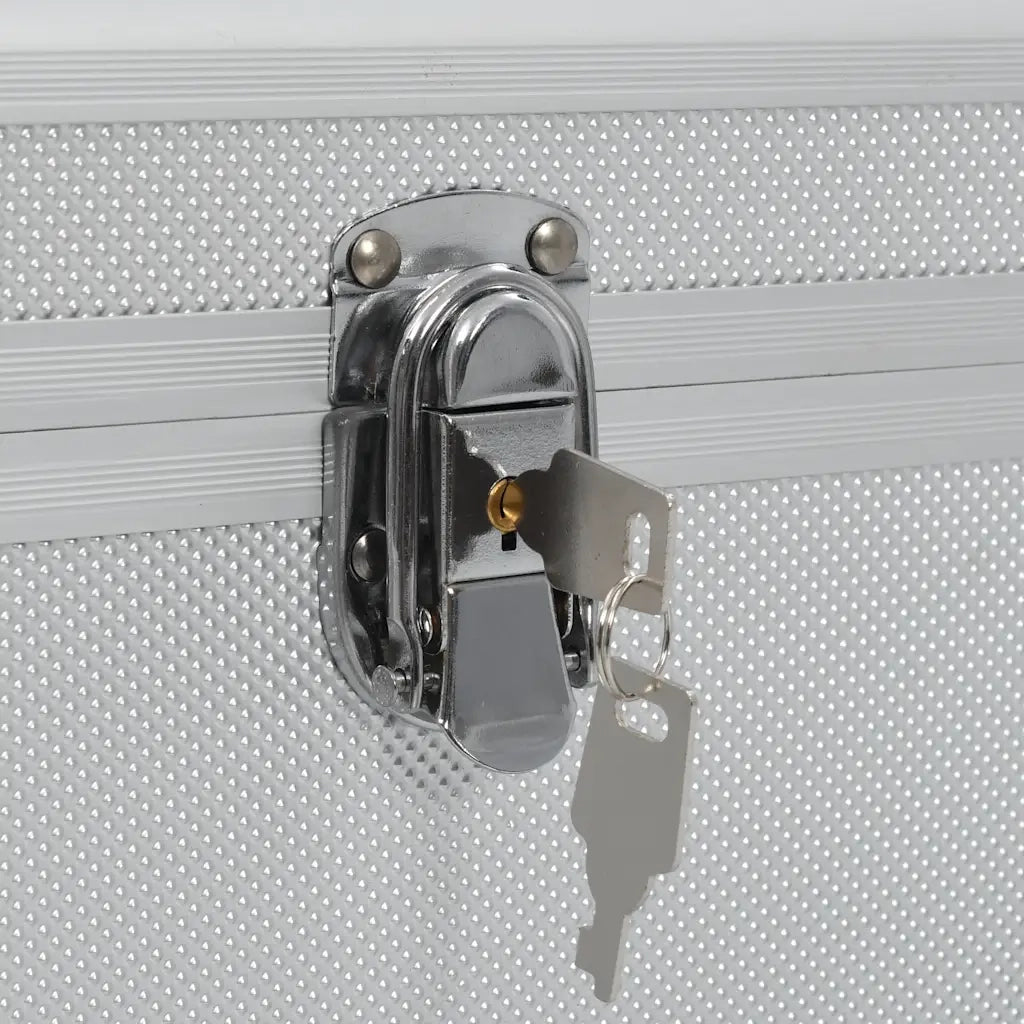 Valigette 2 pz in Alluminio Argento CFW5551448