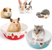 Due piatti di cibo in ceramica per conigli da giardino in forma di coniglio per hamster e desert race - rosso e blu