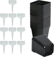 Set di 50 Piantine in Plastica con Fori di Drenaggio per Semi, Fiori e Verdure (Nero)