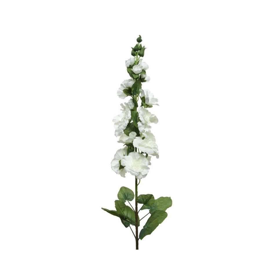 HOLLYHOCK IN STELO