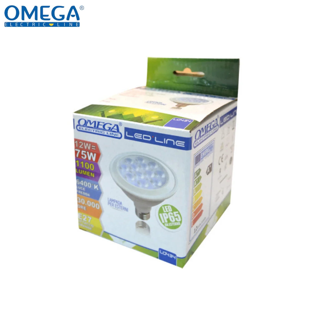 FARETTO LED DA ESTERNO PAR30 12W IP65 E27 LM1100
