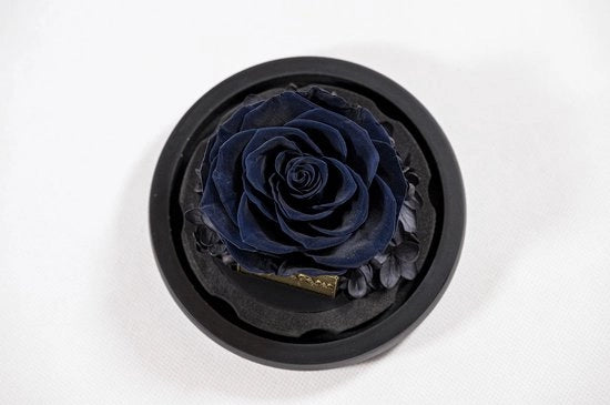 Fiori Secchi con Scatola di Regalo - Fiori Secchi Infinity - Stile Cadeau - Lunga Durata - Decorazione per Eventi Speciali - Materiali di Alta Qualità - Fiori Secchi