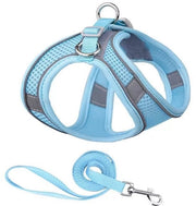 Cinturoni per cani - Linea di cinturoni per cani anti-fuga - Cinturoni per gatti adattabili - Giacche per gatti riflettenti e respiranti - Linea di cinturoni per cani piccoli e medi - Linea di cinturoni per cani piccoli e medi - Lunghezza: L