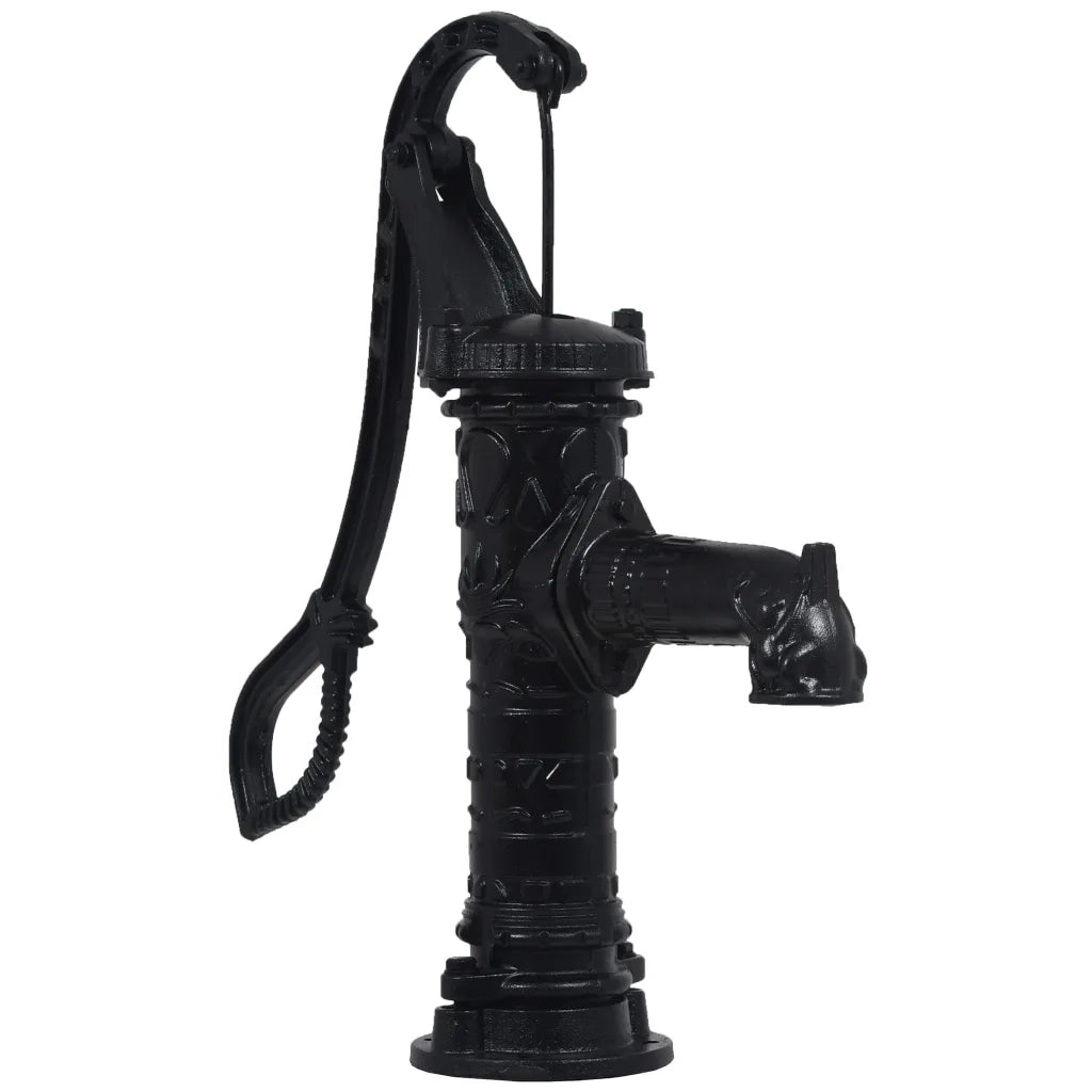 Pompa d'Acqua da Giardino con Supporto in Ghisa CFW1387445