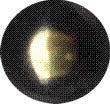 BULLETTA TAPPEZZIERE LISCIA BRON SFUM  9 MM 1000 PZ*- GERHARD WEILAND KG- 1,0 confezione