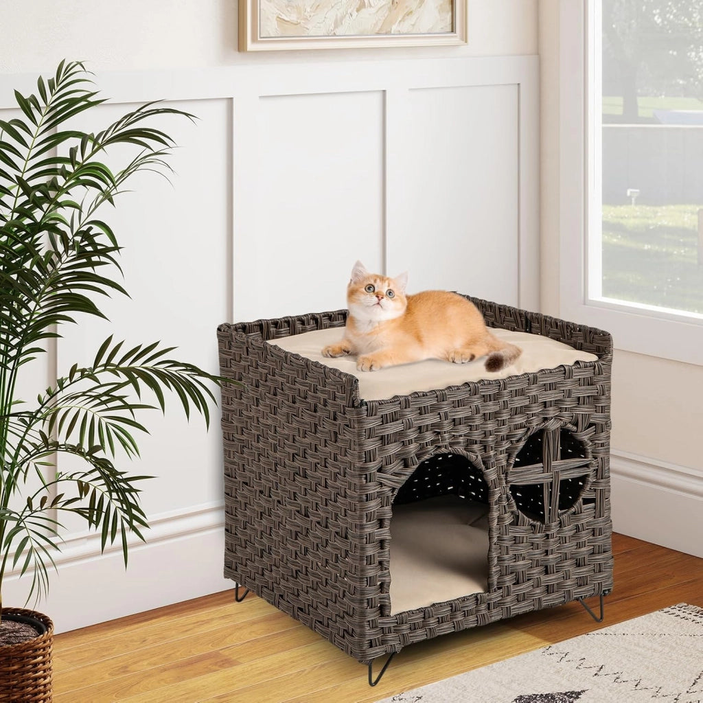 Casetta per Gatti in Rattan 50,5 x 45 x 50 cm, Cuccia a 2 Piani per Gatti con 2 Cuscini, Letto per Animali Domestici per Camera da Letto e Soggiorno