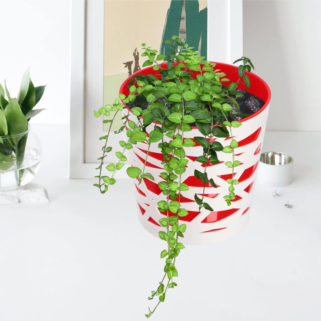 KADAX - Inserto in plastica per vaso di fiori e piante, 19 cm, rosso