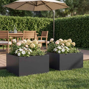 Vaso da giardino 2 pz Nero 60 x 60 x 30 cm 8005051