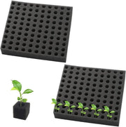Semi-innocui per la coltivazione 200 pezzi - Coltivazione senza terra - Coltivazione idroponica - Assorbimento di acqua - Deposito di nutrienti - Molto morbidi e flessibili - Blocchi di crescita