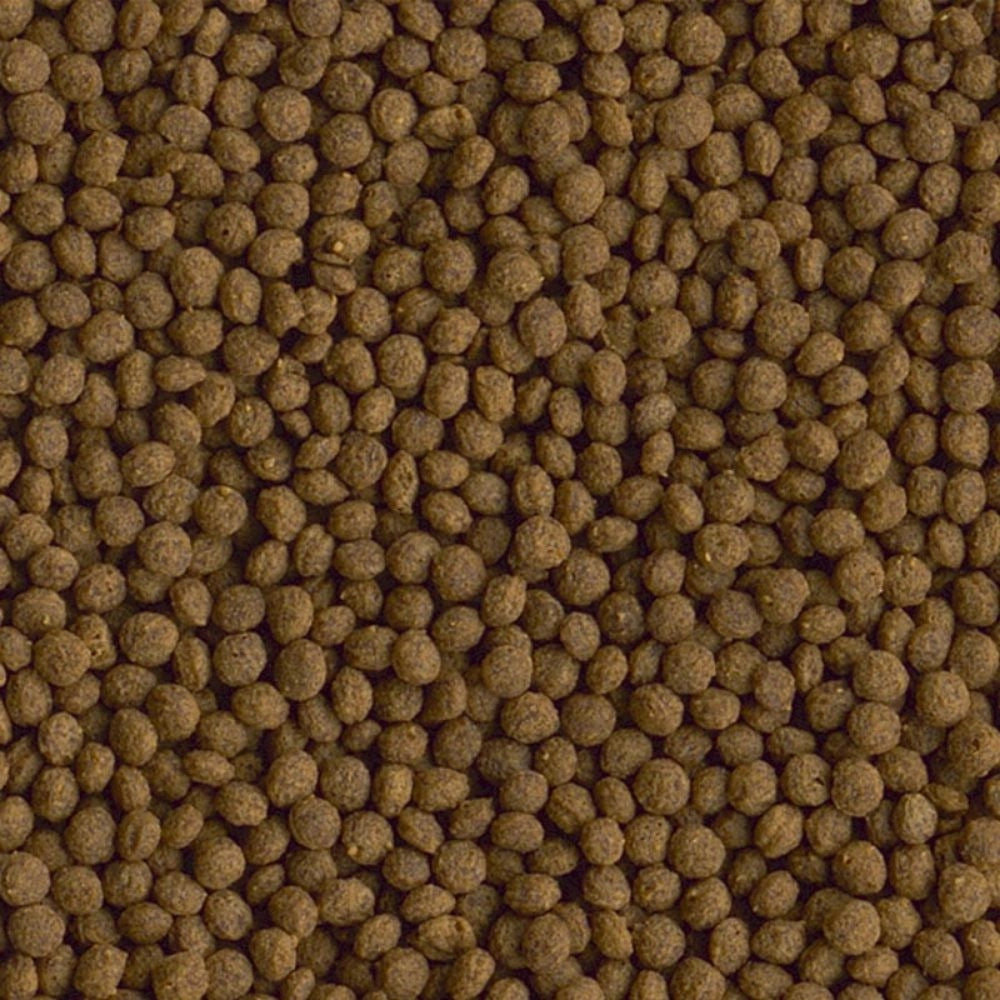 Tetra Goldfish Menu 250ml - Mangime completo per tutti i Pesci Rossi