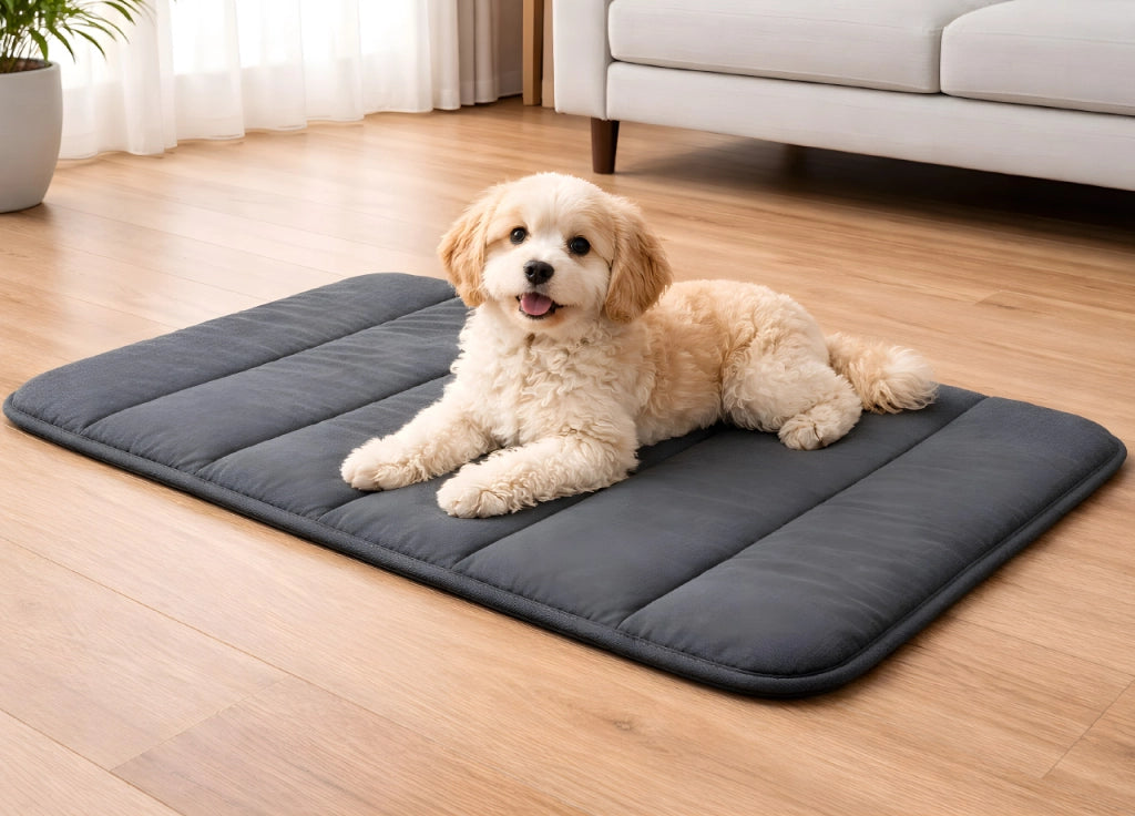 Cuccia Cuscino Comoda Morbida Per Animali Domestici Modello Bicolor Blu/Grigio - 60x90cm - Blu-Grigio