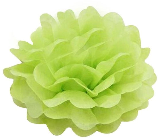 Pomponi decorativi - Fiore di carta 25 cm - Decorazione per matrimoni - Decorazione per compleanni - Decorazione per feste - 10 pezzi