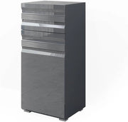 Mobiletto bagno Fredd, Antracite lucido, 36.4 x 79 cm, a parete con due ripiani interni regolabili