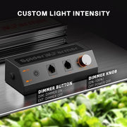 Lampada di coltivazione LED con diodi Samsung LM301H EVO e catena Daisy Chain senza riscaldamento, spettro completo 3000K 5000K 660nm 760nm per piante da appartamento, ortaggi e fiori.