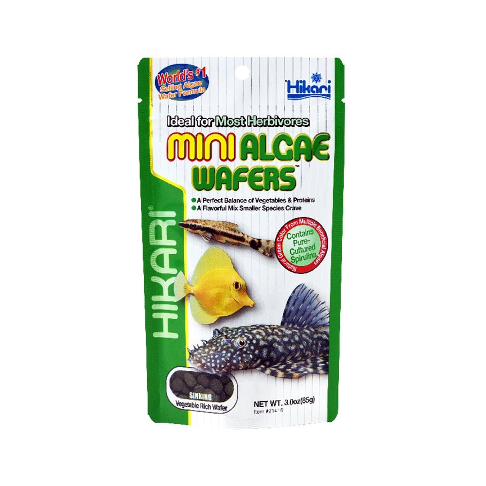 Hikari Tropical Mini Algae Wafers – mangime per Plecostomus e altri mangiatori di alghe Formato: 85 gr