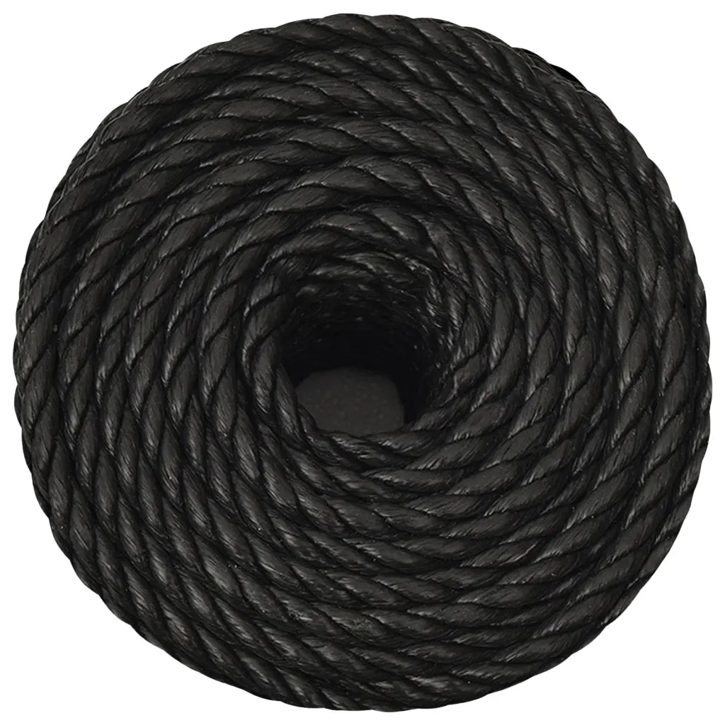 Corda da Lavoro Nera 10 mm 100 m in Polipropilene 153013