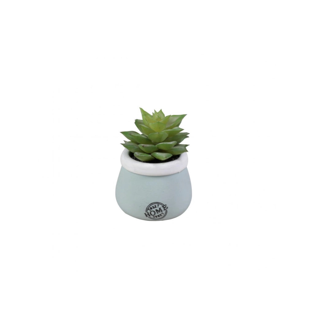 VASO CON PIANTA GRASSA D.5,5XH8CM IN CERAMICA AZZU